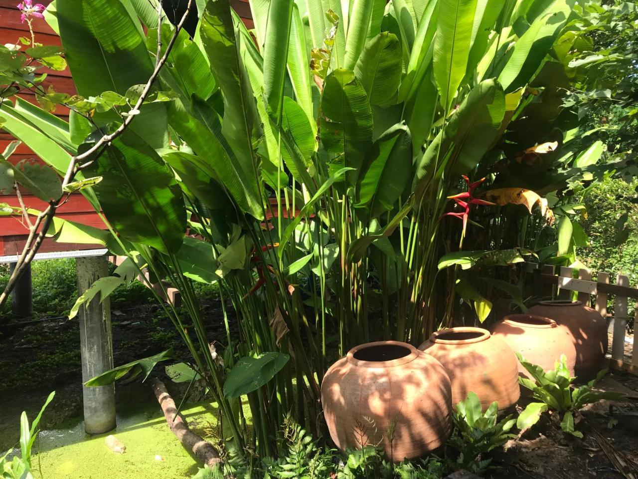 Homestay 88